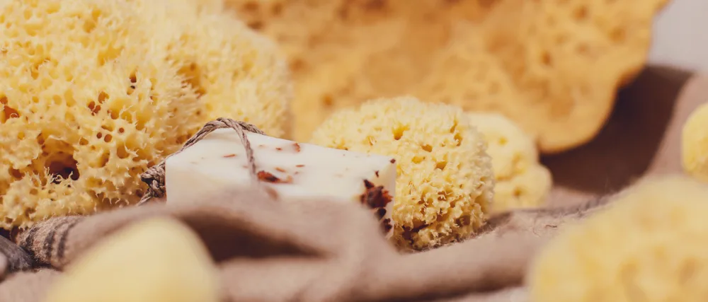 Croll & Denecke M080 natural sponge from the Mediterranean medium quality size 8 cm 1 pack - Schwämme