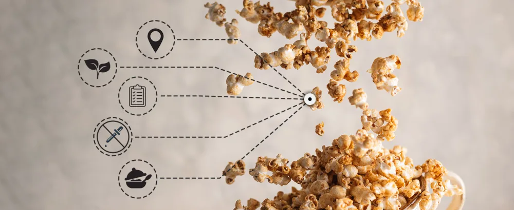 Biojoy ORGANIC popcorn corn Diamond Blue (1 kg) unsweetened and unsalted cinema popcorn corn 1 kg (1 pack) - bio popkornmais popcornmais popcorn-mais smartfood maschine premium natur zuckerfrei blau mushroom