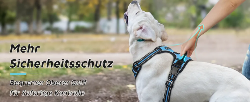 Eagloo dog harness Small dogs anti -train dog harness with reflex strips and control adjustable adjustable and durable breast harness dog suitable for walking and jogging light blue s s (1 pack) light blue - product information 7