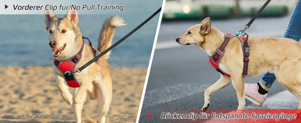 Eagloo dog harness medium -sized dogs anti -train dog harnesses with reflex strips and control adjustable adjustable and durable breastware dog suitable for walking and jogging red m m (1 pack) red - product information 6