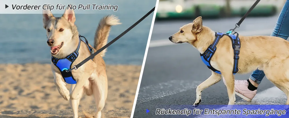 Eagloo dog harness medium -sized dogs anti -train dog harnesses with reflex strips and control adjustable adjustable and durable breast harness dog suitable for walking and jogging blue m (1 pack) - product information 6