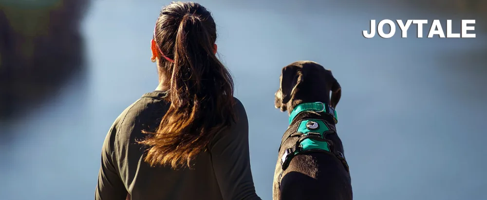 Joytale dog harness Large dogs reflective soft padded dogs curve ant zug adjustable breathable breast dishes with safe simple control handle turquoise l l (1 Pack) turquoise - Hundegeschirr