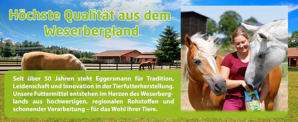 Eggersmann delicious bricks raspberry - horseecker raspberry - treats for horses and ponies - 2.5 kg bag carrot 2.5 kg (1 Pack) - horse food getreidefrei leckerchen knabbern training