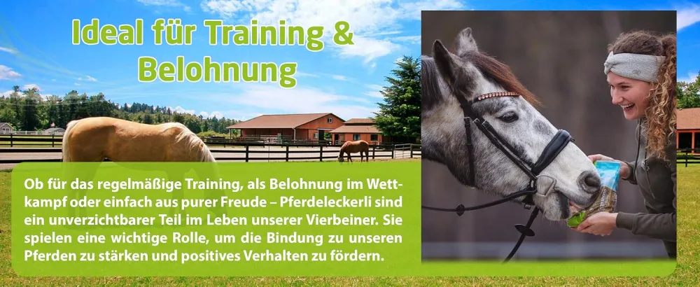 Eggersmann delicious bricks raspberry - horseecker raspberry - treats for horses and ponies - 2.5 kg bag raspberry 2.5 kg (1 Pack) - pferde-leckerlies pferdezubehör pferde-sachen mineralfutter glutenfrei leckerli box