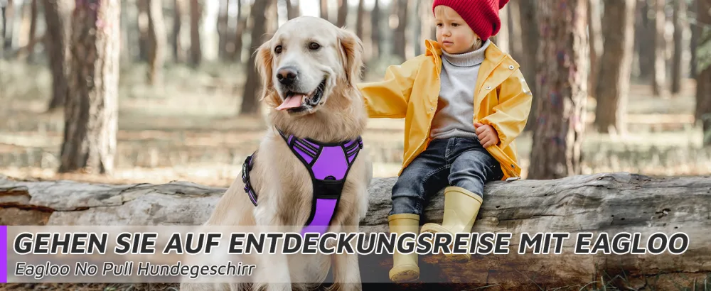 Eagloo dog harness medium -sized dogs anti -train dog harnesses with reflex strips and control adjustable adjustable and durable breast harness dog suitable for walking and jogging purple m m (1 Pack) purple - product information 1