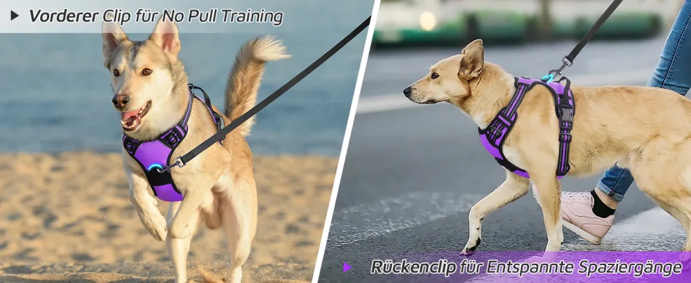 Eagloo dog harness medium -sized dogs anti -train dog harnesses with reflex strips and control adjustable adjustable and durable breast harness dog suitable for walking and jogging purple m m (1 Pack) purple - product information 6