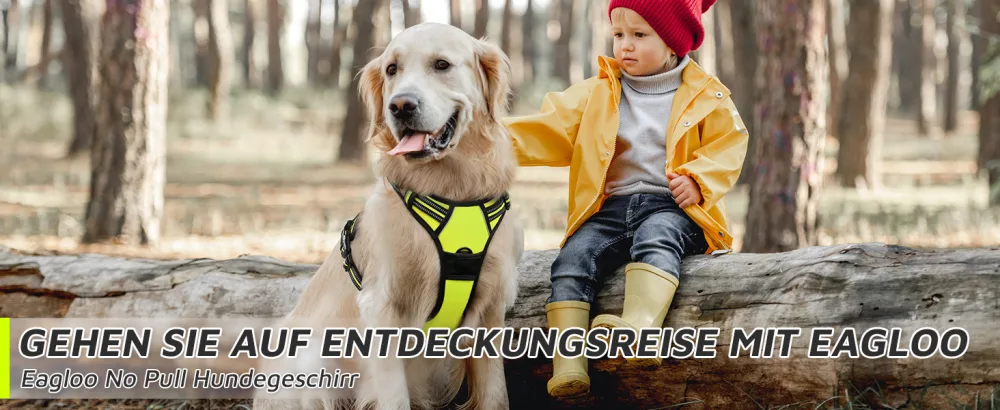 Eagloo dog harness medium -sized dogs anti -train dog harnesses with reflex strips and control adjustable adjustable and durable breast harness dog suitable for walking and jogging green m (1 pack) - product information 1