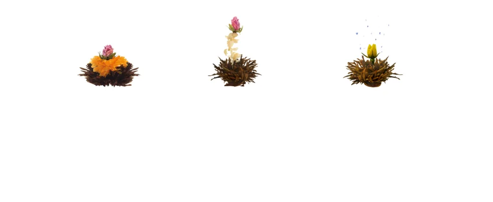 Creano tea blower 36 tea balls black tea large pack blossom in bulk pack tar lunches blooming tea flowering tea 36x black tea - Erblühtee schwarz