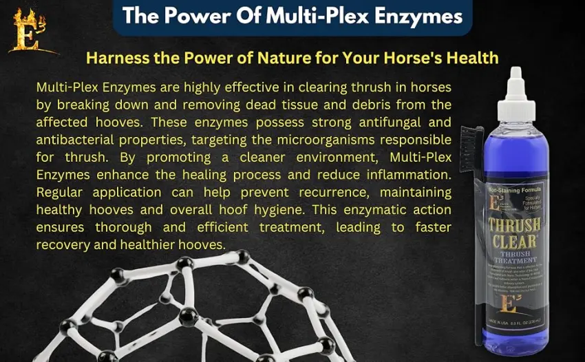 E3 Thrush Clear Treatment owerful Solution for Equine Hoof Thrush - 8 Oz - - Multiplex enzymes