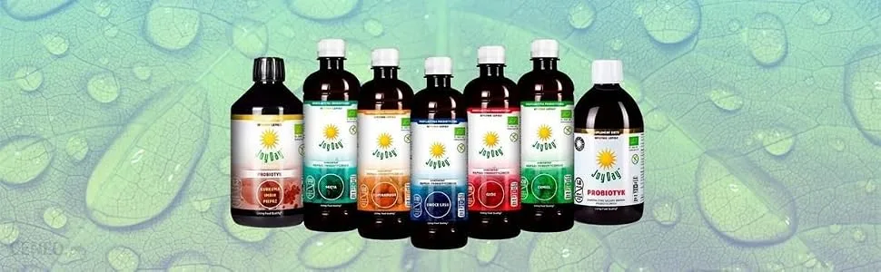 Joy Day Probiotic Drink concentrate mint |500 ml |15 Health Strain with Lactobacillus Acidophilus Lactobacillus Rhamnosus Advanced Multi Bacteria - Entdecken Sie das gesamte Sortiment unserer Produkte