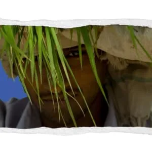 Tilda - Basmati Reis - (1 x 1 kg) - Reisfeld, Arbeiter