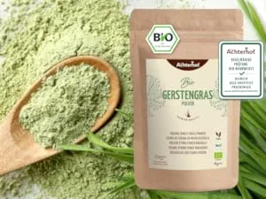 Ginger ground 100 g 100 g (1 Pack) - Gerstengras