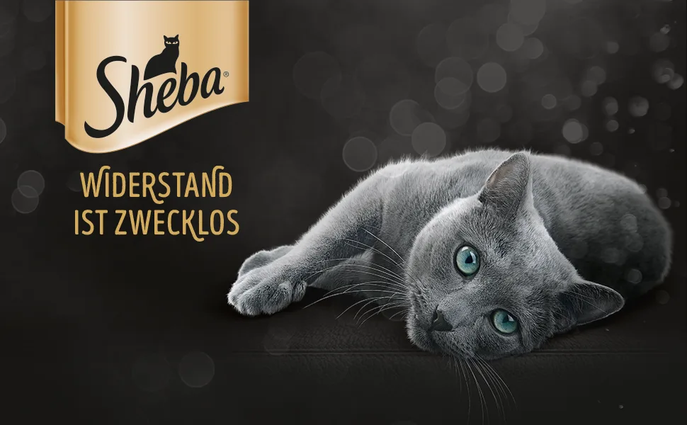 SHEBA Bowl Multipack Classics in Pate Fish Variation MSC 6 x 12 x 85g 85 g (72 pack) - sheba
