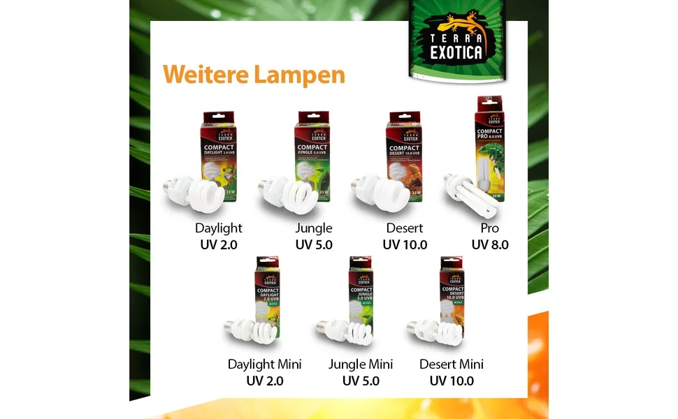 Terra exotica compact mini UVB 13 watt full spectrum daylight lamp - selection between 2.0 5.0 and 10.0 UVB lamps for your terrarium (Daylight 2.0 UVB) - Alle Kompaktlampen