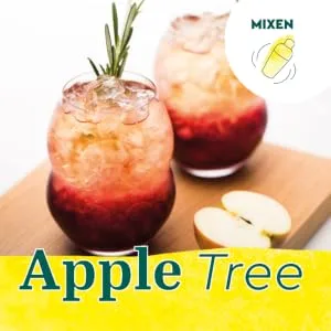 RAUCH Culinary Lime Juice 100% All-rounder for kitchen and bar 6 x 1.0 l disposable - Apple Tree