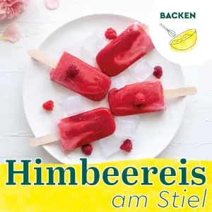 RAUCH Culinary Lime Juice 100% All-rounder for kitchen and bar 6 x 1.0 l disposable - Himbeereis