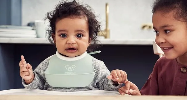 BabyBj rn Bib set 2-pack Pale Blue Pale Green Bib - product information 4