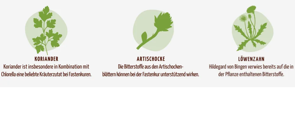 Herbal miracle 7-day fasting cure organic | 7x6 bottles | the first herbal fasting cure | organic quality | from Achterhof - Wertvolle Kräuter 2