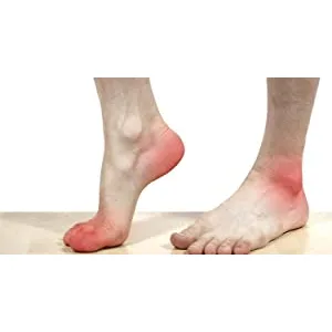 Tuli's Polar Bears dual density heel cups designed to relieve heel spurs. X-Large - Grafik 1 – Eisbär.