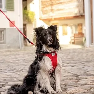 Magnetic Vest Harness Air-Mesh V2 Red M Red M Striped - product information 2