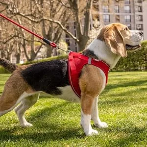 Magnetic Vest Harness Air-Mesh V2 Black L Black L Striped - product information 5