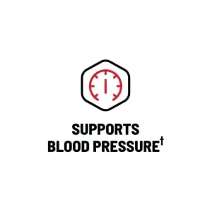 Beet Root Powder Organic - Nitric Oxide Beets by Snap Supplements - Supports Blood Pressure and Circulation Superfood, Muscle & Heart Health, 250g (30 Serving) (Cherry Lime) - Supports Blood Pressure
