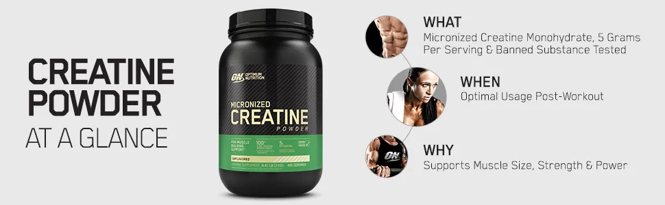 Optimum Nutrition Instantized BCAA Capsules, Keto Friendly Branched Chain Essential Amino Acids (400 Count) with Micronized Creatine Monohydrate Powder, Unflavored (120 Servings) - Bundle Pack - glance
