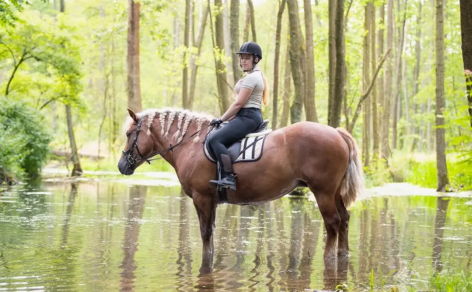 Connection trick for horses and ponies Start Hard PP rope 2m with classic carabiner hook and panic (navy blau snap) dark blue carabiner hook - reitgerte kinder mädchen pferde im Wasser halfter reithalfter reithandschuhe reitstiefel