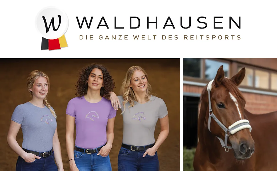 Saddle holder lockable - Waldhausen für Pferd und Reiter, Reitbekleidung, Reithose, Reitleggings, Halfter für Pferde