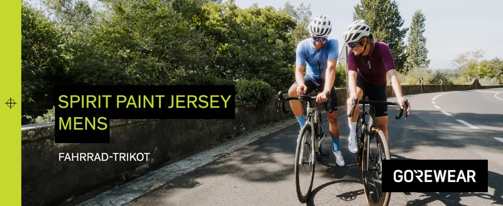 GORE WEAR Spirit Stripes Jersey L Lab Grey/Tech Beige - product information 1