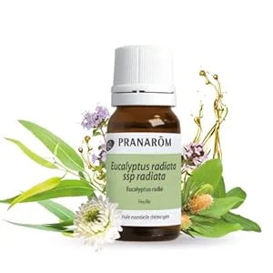 PRANAROM Cera 007760888 wax 1 piece (1 pack) - Ätherisches Bio-Öl