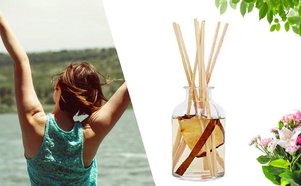 BUIFU 100 pc diffuser stick 30 * 0.3cm rattanstfen room fragrance fragrance stick light yellow aroma diffuser stick reed diffuse sticks natural diffuser sticks for essential oils in the home spa - product information 6