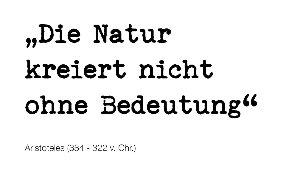 Shea butter cold pressed 100ml - wesentlich., Sheabutter, Shea butter, unraffiniert, kaltgepresst, natürlich, Naturkosmetik, DIY