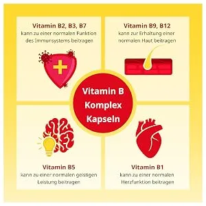 apodiscounter Vitamin B Complex - pharmacy quality - 60 vegan capsules - all 8 B vitamins (B1 B2 B3 B5 B6 B7 B9 B12) - Infografik B-Komplex 16498752