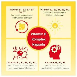 apodiscounter Vitamin B Complex - pharmacy quality - 60 vegan capsules - all 8 B vitamins (B1 B2 B3 B5 B6 B7 B9 B12) - Infografik B-Komplex 16498752