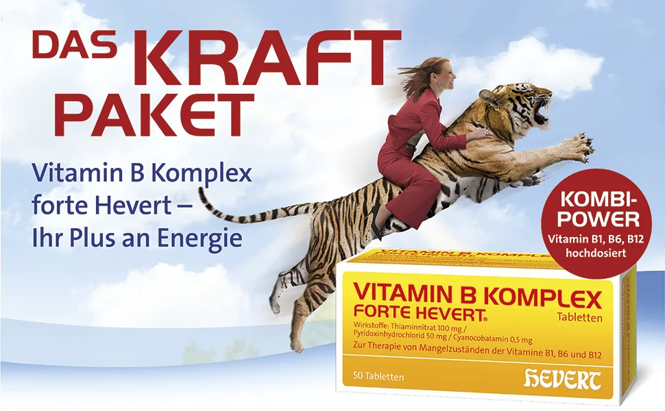Vitamin B-Complex forte Hevert 100 mg/ 50 mg/ 0.5 mg tablets 60 tablets - product information 1