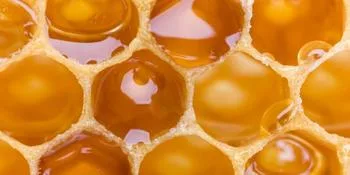 Imkergut Honey Conditioner | with real honey from the beekeeper | nourishes & gives suppleness | 200 ml - Honig