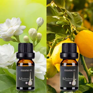 Ominihome Essential Oil Diffuser & Essential Oils, 500ML Diffusers for Essential Oils with 6 Essential Oils Set, Aromatherapy Diffuser for Large Room, Up to 20h Aroma, Teacher Gifts 500ml With Oils - OIL DIFFERSUR SET1