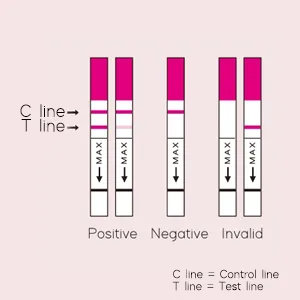 Wondfo Pregnancy Test Strips Early Detection - Extra Sensitive 10 MIU/ML HCG Early Predictor Kit (25 Count) - product information 8