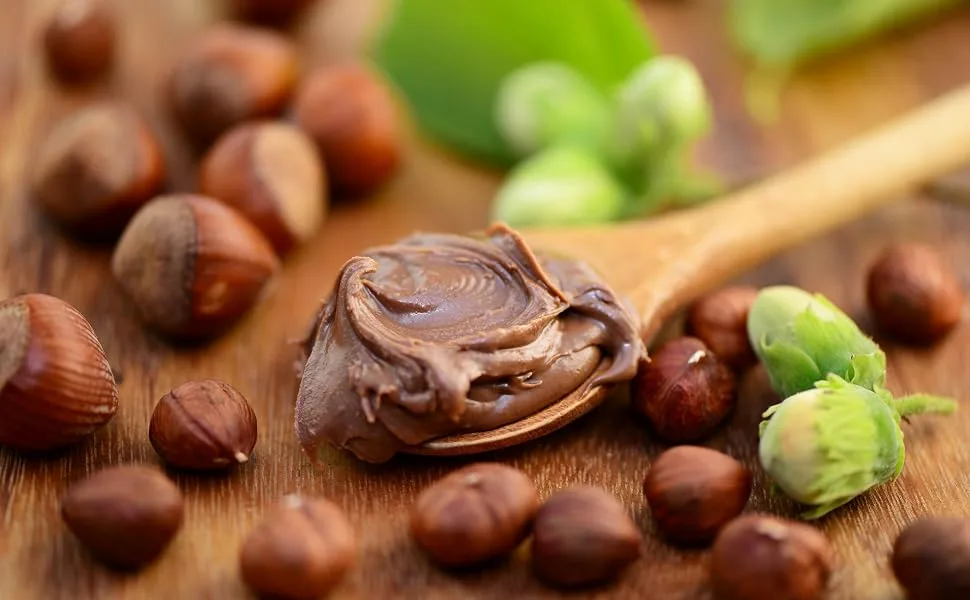 Nut-Nougat ice cap for delicious aromatic ice cream also to refine delicious desserts drinks chocolates cakes and much more content 250 g - Nuss Nougat Dessert