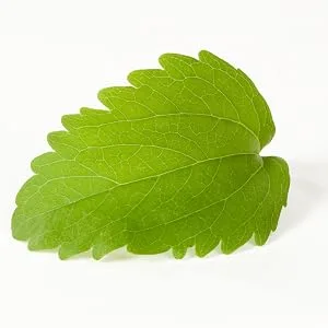 Stesweet Stevia Tabs 250 tabs - stevia