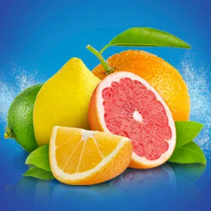 ALKA-SELTZER PLUS Severe Non-Drowsy Cold & Flu PowerFast Fizz Citrus Effervescent Tablets 20 Count - alka seltzer plus effervescent powerfast fizz cold flu fever ache cough sore throat nasal congestion