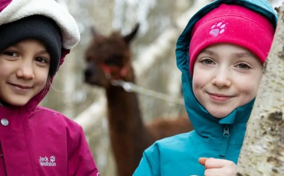 Jack Wolfskin Unisex Kids Taunus Halfzip K Pullover 164 Dark Ruby - product information 4