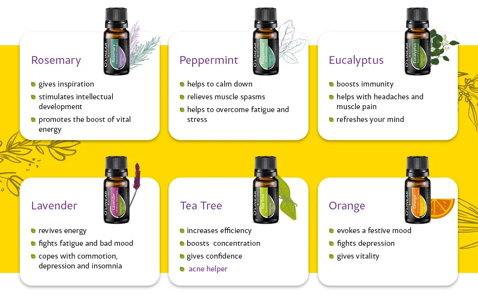 Top Essential Oils Set and Essential Oils Blends - Top 12/0.33oz (10ml) Essential Oils and Blends for Diffuser, Humidifier, Massage and Soul - Perfect Starter Kit Gift - Book & Life Recipes - Essential oils