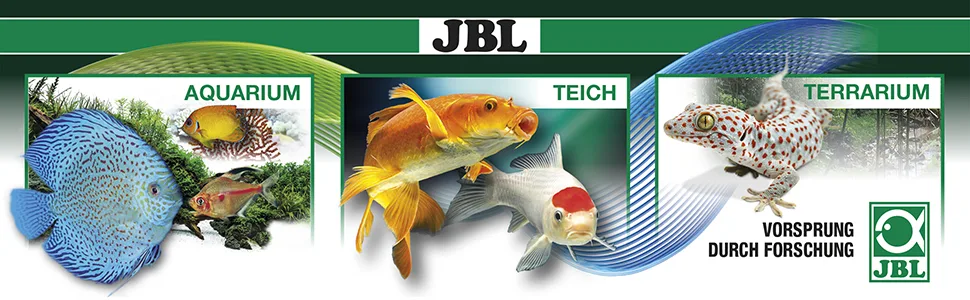 JBL digital aquarium thermometer 1 piece (1-pack) & thermometer with suction cup for aquariums base bundle with thermometer with suction cup - product information 1