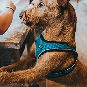 HUNTER HILO COMFORT harness for small dogs with mesh material and reflective elements orange ML Orange ML - product information 2