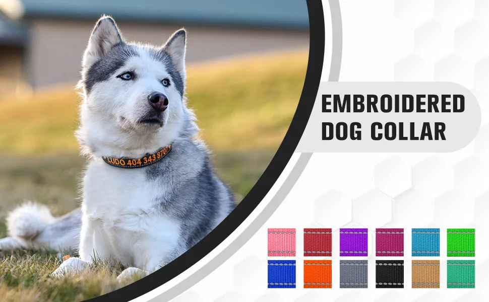 Tagme Personalized dog collar for medium dog with embroidered reflective nylon dog collar with pet name & telephone number black M m (1 Pack) black - Schwarz Großes Hundehalsband