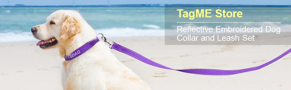 Tagme dog collar and leash personalized reflective dog collar with 1.5m double -sided reflective dog leash for medium -sized purple m (1 Pack) purple set - Personalisierbar Hundehalsband Mit Hundeleine