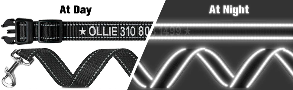 Tagme dog collar and leash personalized reflective dog collar with 1.5m double -sided reflective dog leash for medium -sized black M (1 -pack) black set - Reflektierende Hundeleine