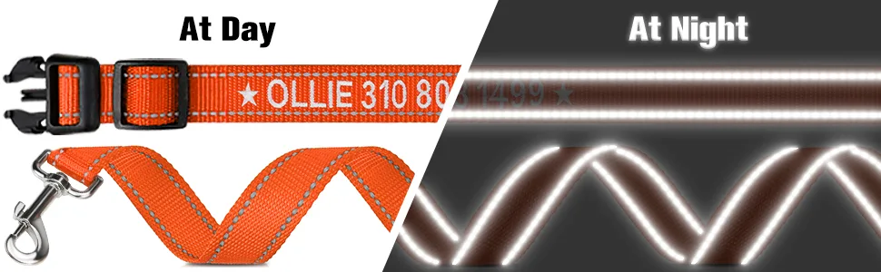 Tagme dog collar and leash personalizing reflective dog collar with 1.5m double -sided reflective dog leash for medium -sized orange M (1 Pack) orange set - Reflektierende Hundeleine